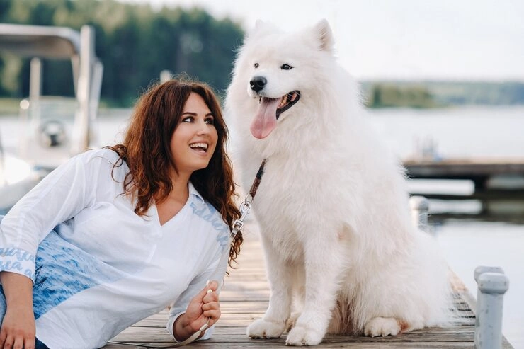 Private Jet Dog Relocation Services in Qatar